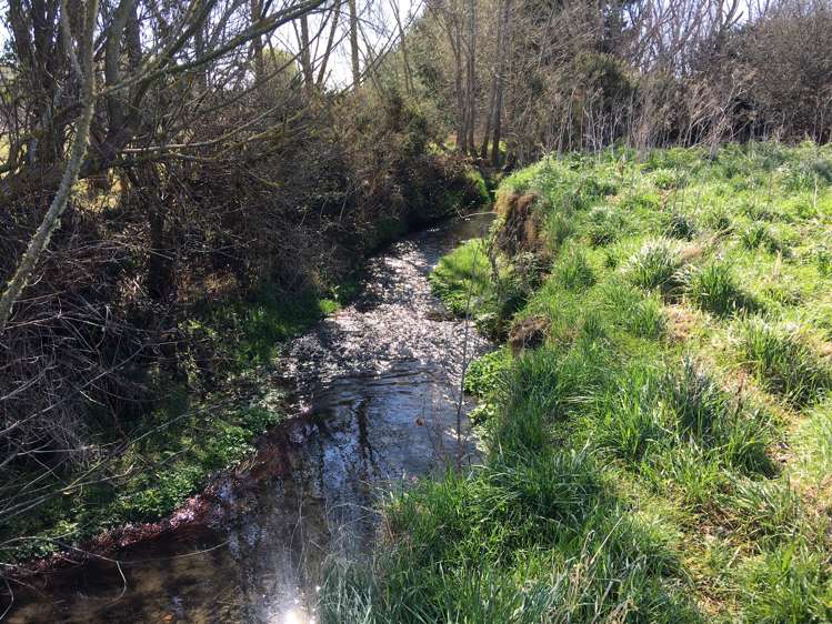 182 Jacksons Road Ohoka_5