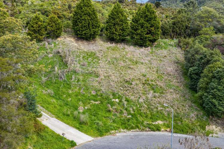 16 Webster Place Picton_5