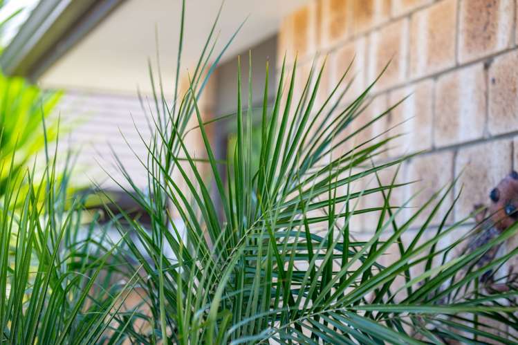 12 Pharo Place Ngaruawahia_23