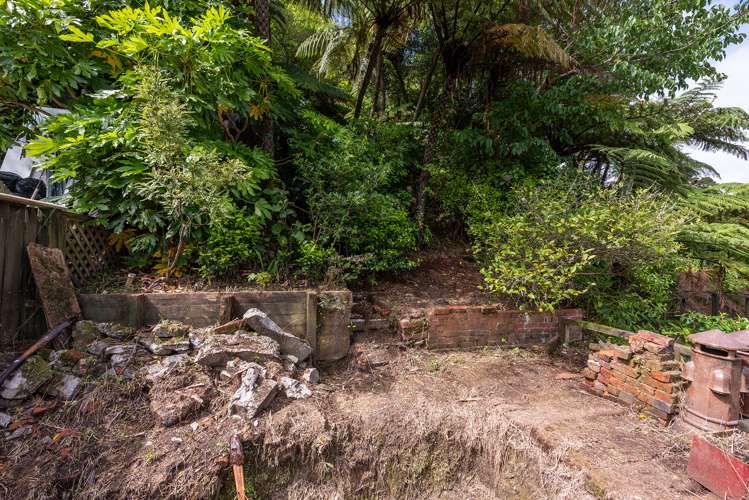 204 Aro Street Aro Valley_12