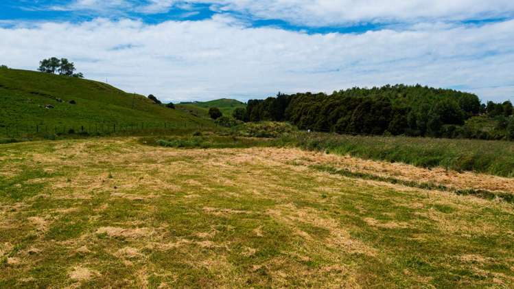 LOT 1 Waimarama Road_5