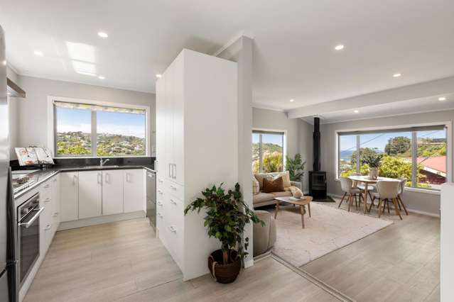 65a Rhine Street Island Bay_3