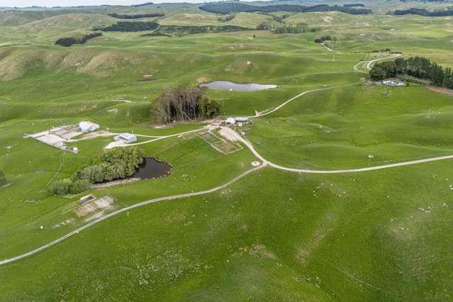 300 Pattison Road Waipukurau_1