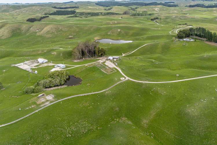 300 Pattison Road Waipukurau_1