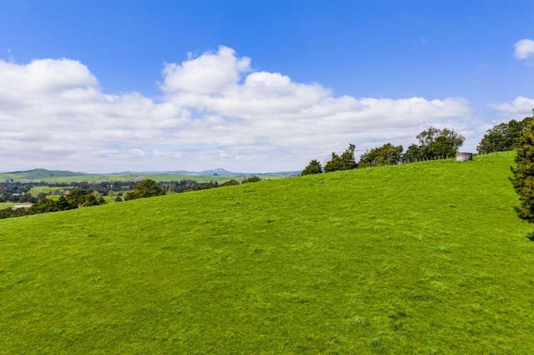 Mangakahia Road Titoki_27