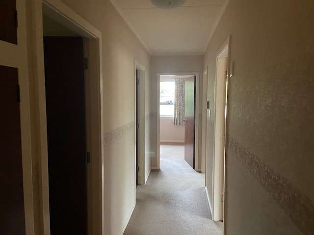 29 George Street 11286_3