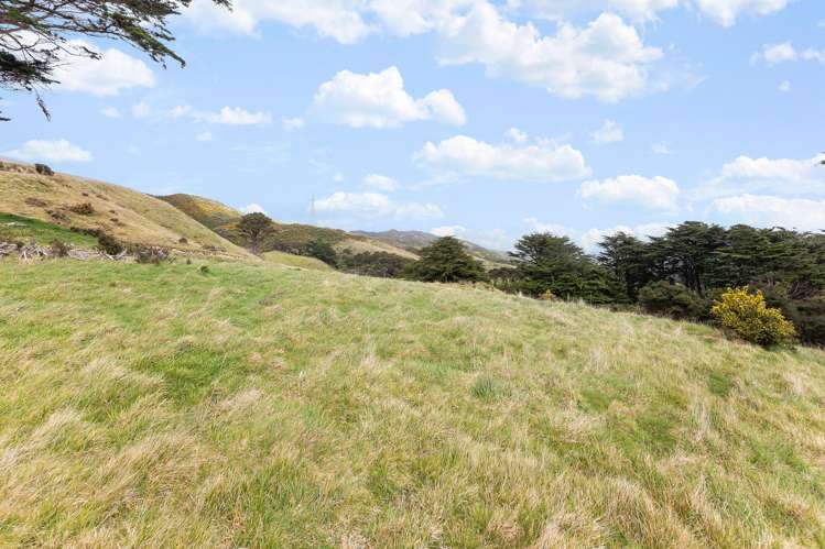 474C Makara Road Makara_15