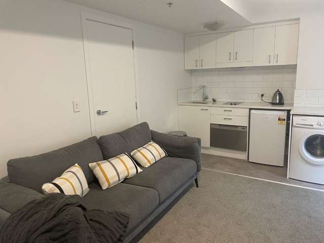 1 Hobson Street 10015_2