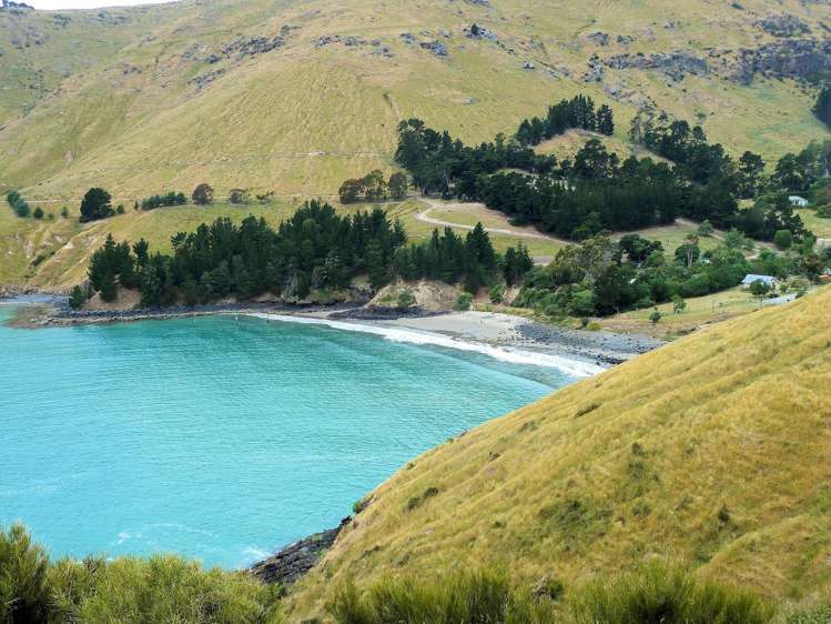 430 Camp Bay Road Port Levy_4