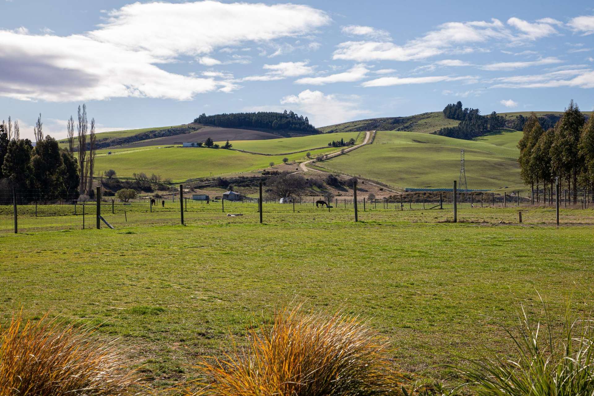 12 Kaylea Lane Millers Flat_0