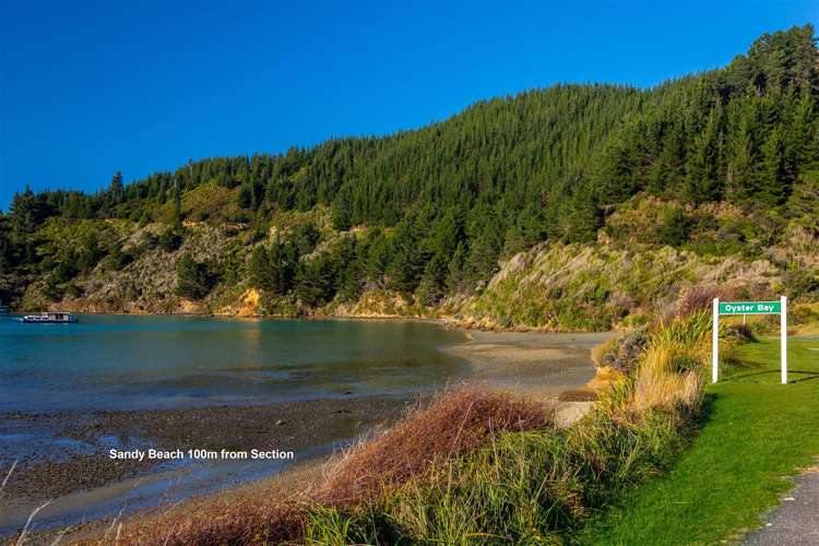 1476 Port Underwood Road Oyster Bay Port Underwood_7