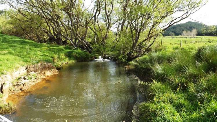 232 Tavinor Road Otaika_12