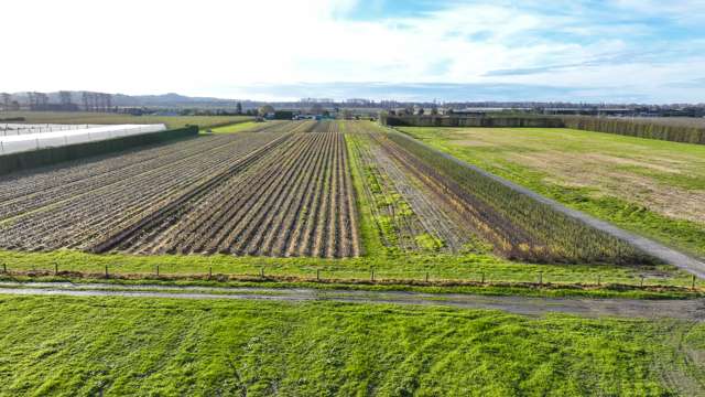 1023 Links Road Central Hawkes Bay Coastal_2