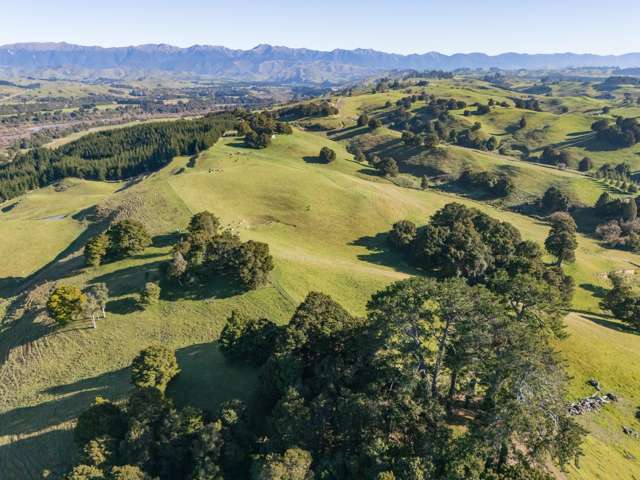 613 Blackburn Road Ongaonga_3