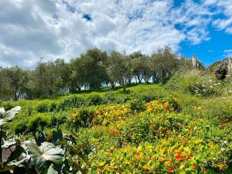 68 Korora Road Oneroa_14