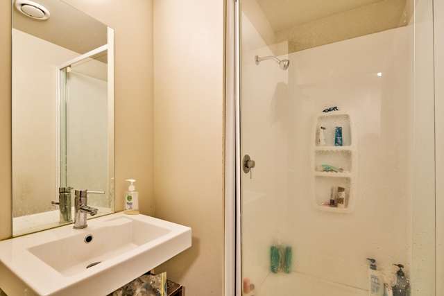 2h/242 Taranaki Street Mount Cook_3