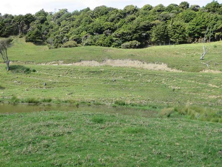 5 Te Opi Road Whakapirau_20