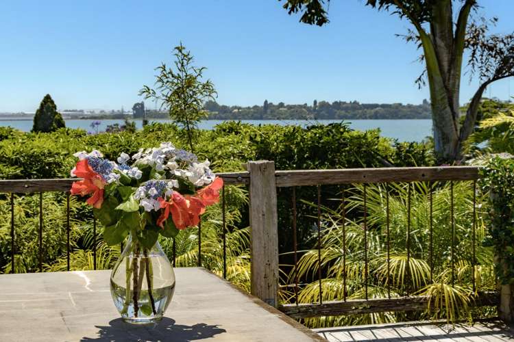 44 Harvey Street Avenues_14