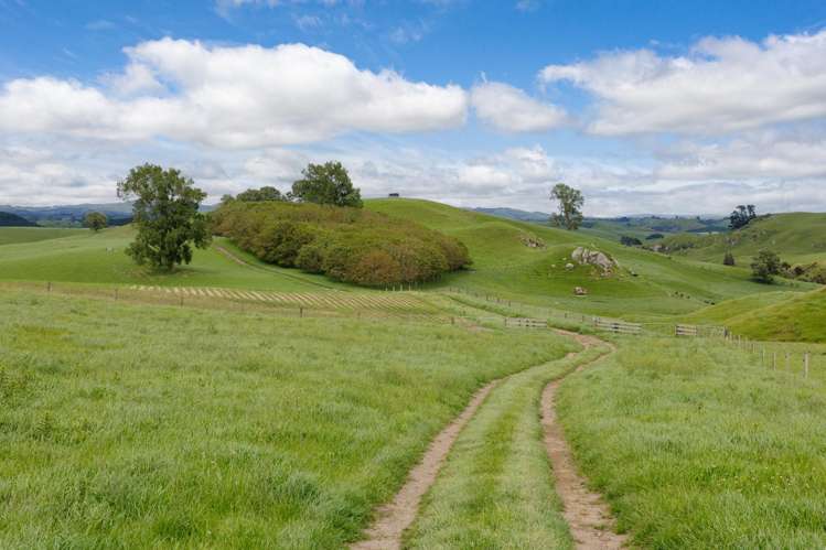 196 Waimanu Road Pukeatua_20