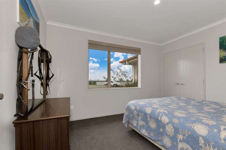 186 West Denbie Lane Swannanoa_14