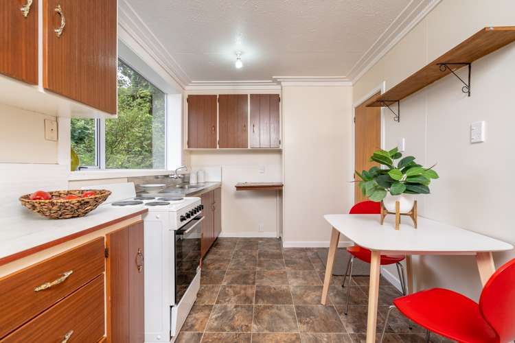 3 Lees Street Dunedin Central_5