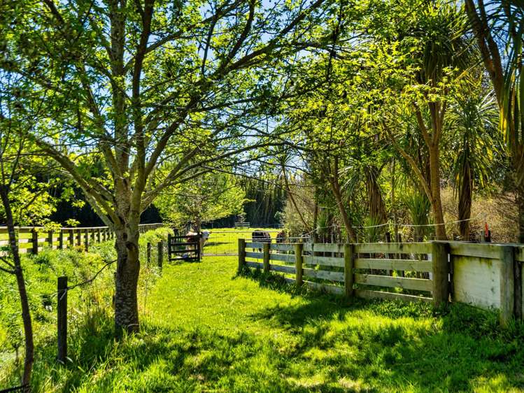 139 Lochhead Road Te Puna_47