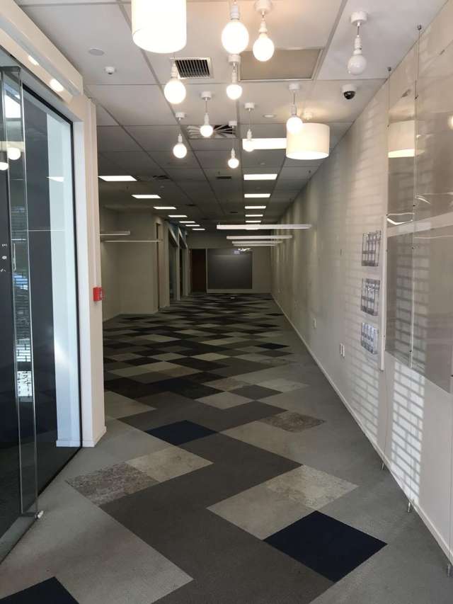 117 Riccarton Road Riccarton_2