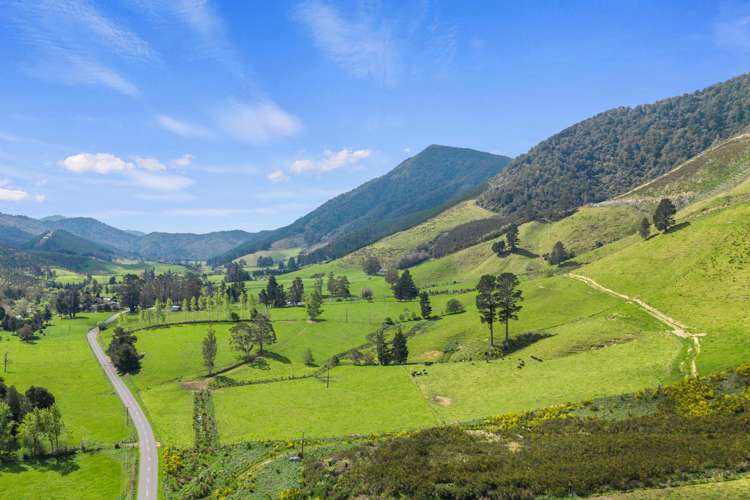650 Ronga Road Rai Valley_2