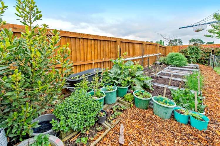 3 Cassini Place Leeston_16