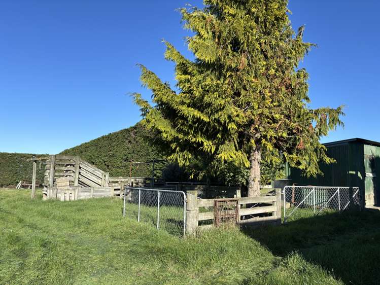 66 Whiterocks Road Deborah_17