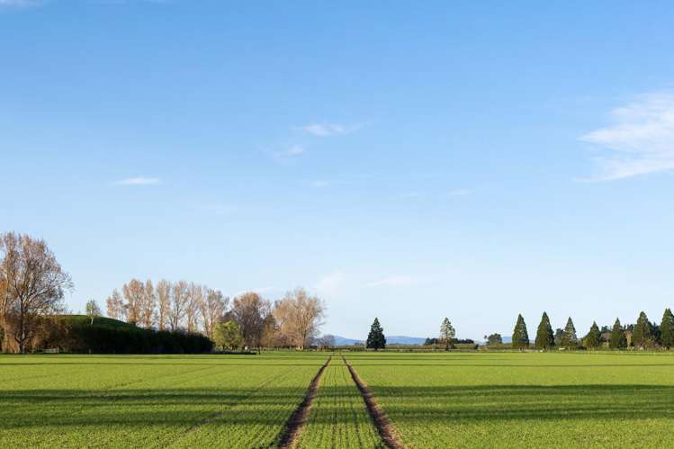 Rowallan Road Darfield_15