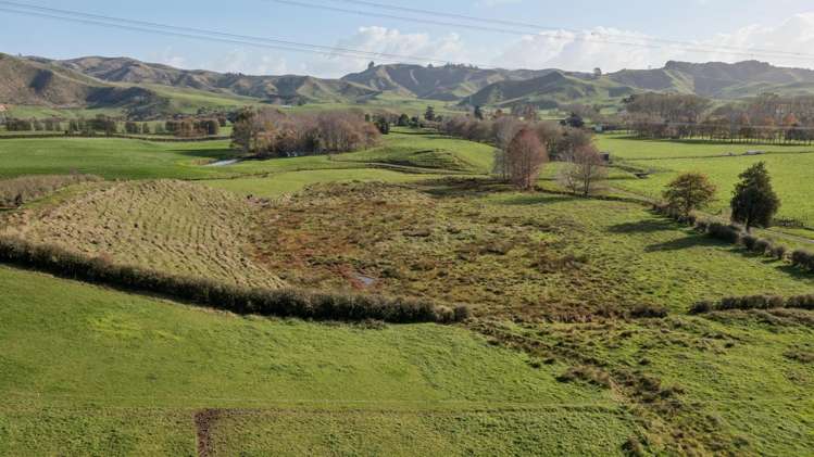 41 Matahuru Road Waiterimu_40