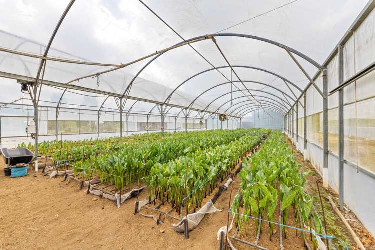 591 Turitea Road Otorohanga_25