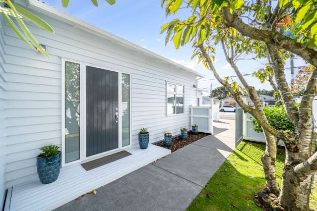 450 Jackson Street Petone_1