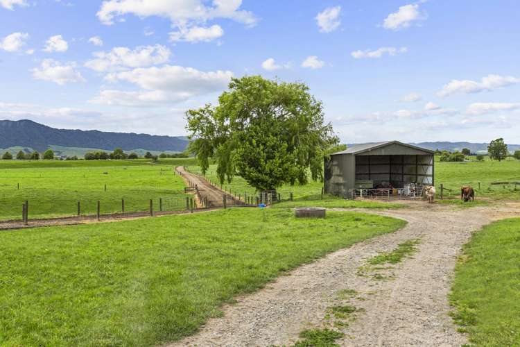 289/296 Tauranga Road Matamata_3