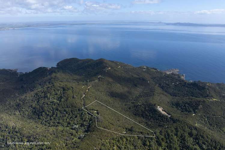 LOT 2 303 Waiaua Road Hihi_15