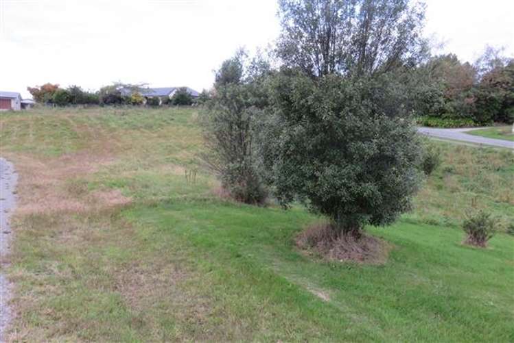 56a Pye Road Geraldine_5