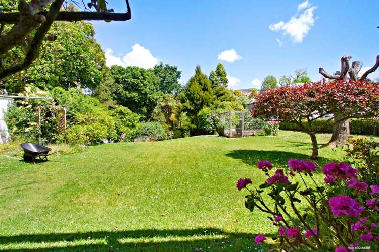 19 Ascot Avenue Remuera_7