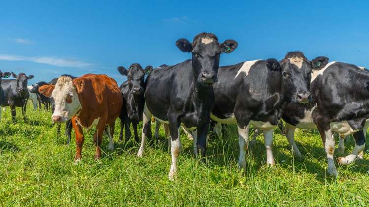 1051 Carleton Road Oxford_11