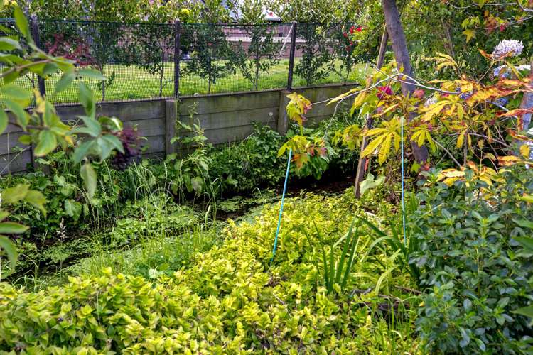 442 Halswell Road Halswell_1