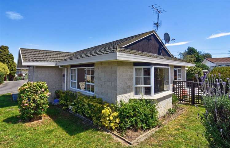 4a Totara Street Masterton_17