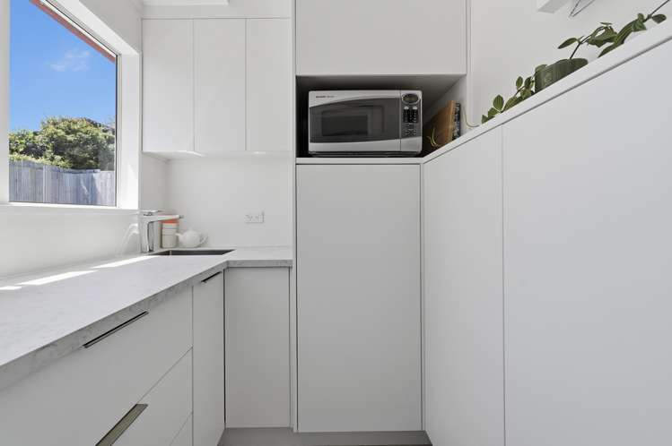 31 Carlton Street Bellevue_17
