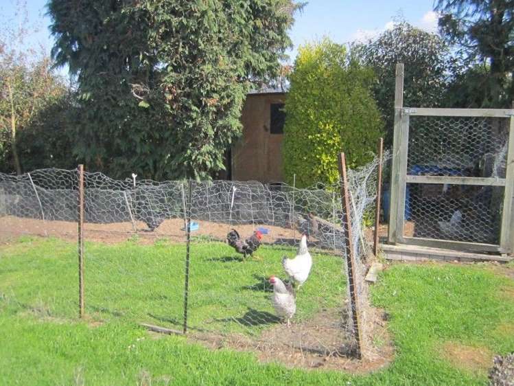 17 Leman Street Milton_21