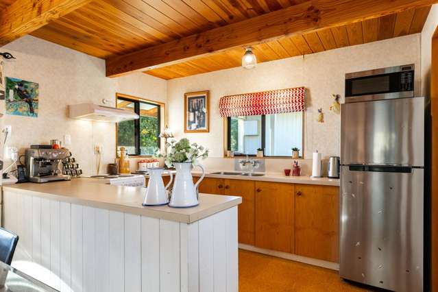 84a Dillons Point Road Islington_1