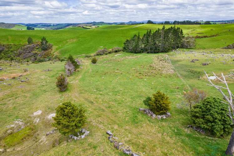183A Wiroa Road Kerikeri_29