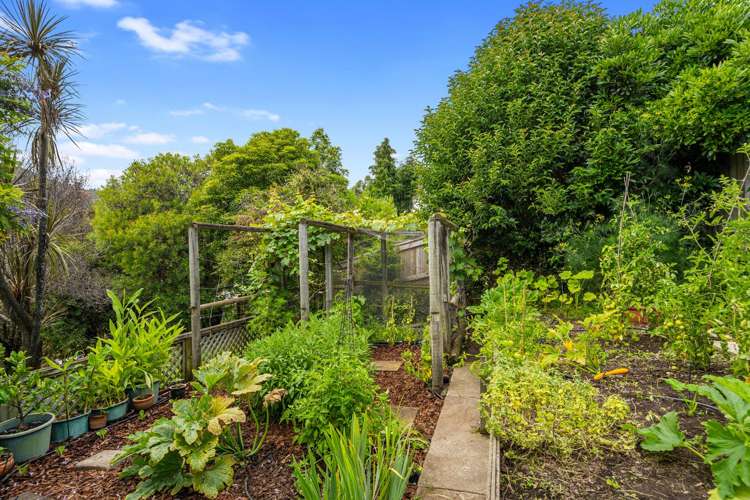 8 Thompson Terrace Toi Toi_20