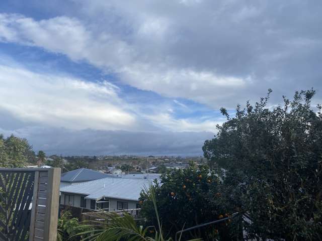 54A Jonathon Street Brookfield_2