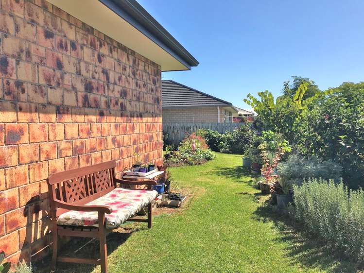 369 One Tree Point Road One Tree Point_19