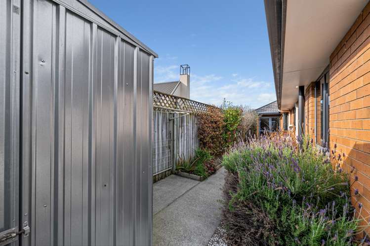3A Livingstone Place Springlands_24