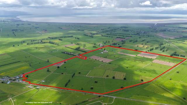 A well-placed dairy unit with scale and potential
